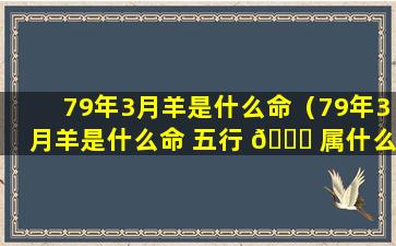 79年3月羊是什么命（79年3月羊是什么命 五行 🐘 属什么属性）